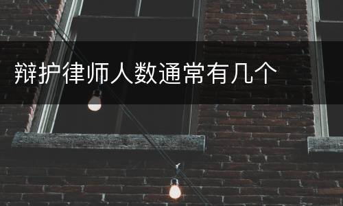 辩护律师人数通常有几个