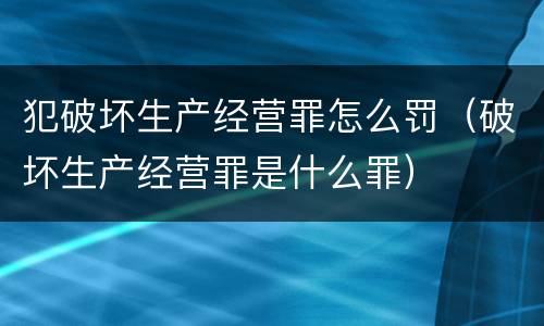 犯破坏生产经营罪怎么罚（破坏生产经营罪是什么罪）