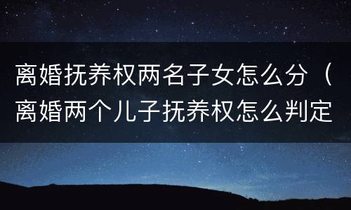 离婚抚养权两名子女怎么分（离婚两个儿子抚养权怎么判定）