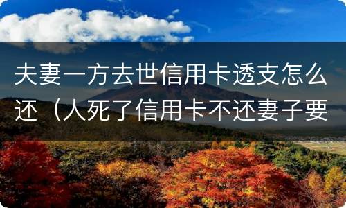 夫妻一方去世信用卡透支怎么还（人死了信用卡不还妻子要还吗）
