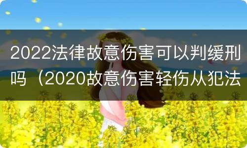 2022法律故意伤害可以判缓刑吗（2020故意伤害轻伤从犯法院可以免除刑罚吗）