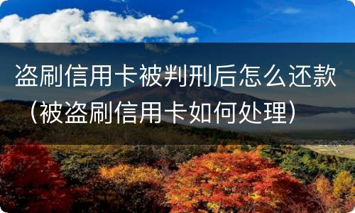 盗刷信用卡被判刑后怎么还款（被盗刷信用卡如何处理）
