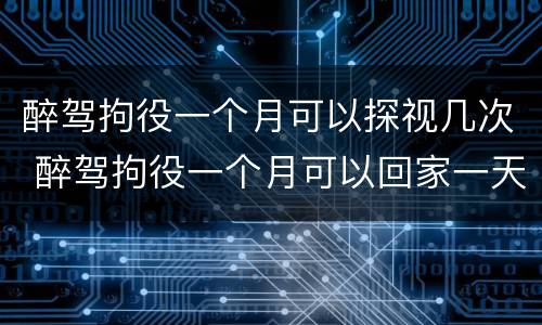 醉驾拘役一个月可以探视几次 醉驾拘役一个月可以回家一天吗