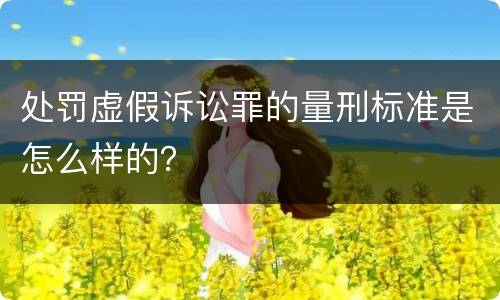 处罚虚假诉讼罪的量刑标准是怎么样的？