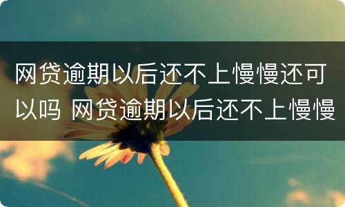 网贷逾期以后还不上慢慢还可以吗 网贷逾期以后还不上慢慢还可以吗怎么办