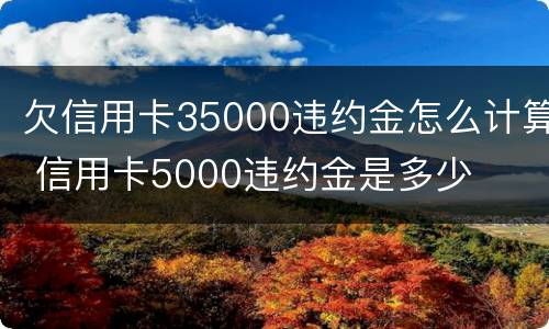 欠信用卡35000违约金怎么计算 信用卡5000违约金是多少