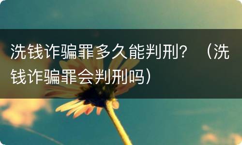 洗钱诈骗罪多久能判刑？（洗钱诈骗罪会判刑吗）