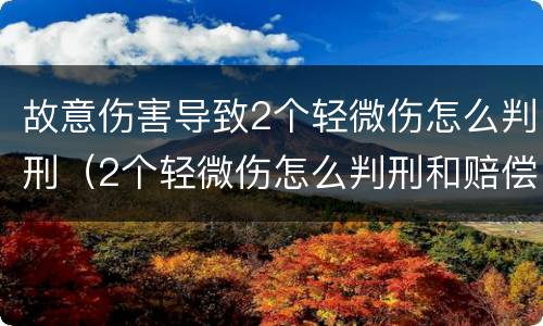 故意伤害导致2个轻微伤怎么判刑（2个轻微伤怎么判刑和赔偿）