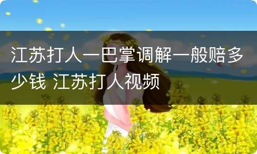 江苏打人一巴掌调解一般赔多少钱 江苏打人视频