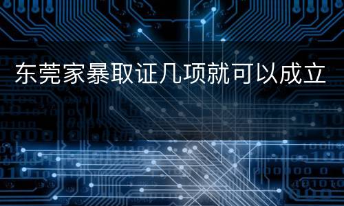 东莞家暴取证几项就可以成立
