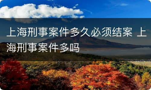 上海刑事案件多久必须结案 上海刑事案件多吗