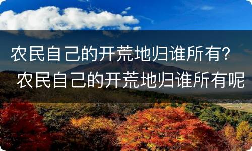 农民自己的开荒地归谁所有？ 农民自己的开荒地归谁所有呢