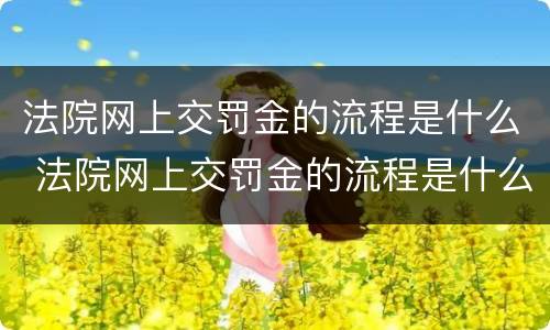 法院网上交罚金的流程是什么 法院网上交罚金的流程是什么样的