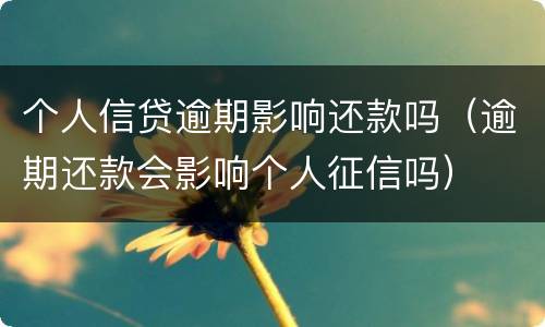 个人信贷逾期影响还款吗（逾期还款会影响个人征信吗）