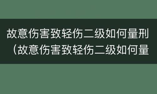 故意伤害致轻伤二级如何量刑（故意伤害致轻伤二级如何量刑标准）