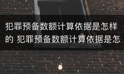 犯罪预备数额计算依据是怎样的 犯罪预备数额计算依据是怎样的规定