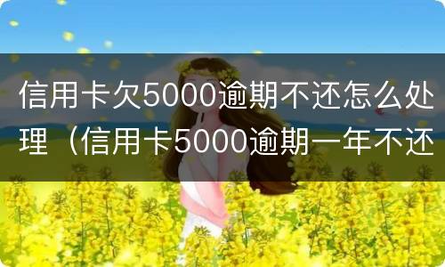信用卡欠5000逾期不还怎么处理（信用卡5000逾期一年不还怎么处理）