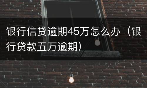 银行信贷逾期45万怎么办（银行贷款五万逾期）