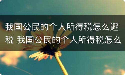 我国公民的个人所得税怎么避税 我国公民的个人所得税怎么避税呢