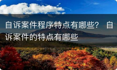 自诉案件程序特点有哪些？ 自诉案件的特点有哪些