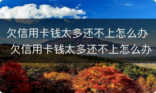 欠信用卡钱太多还不上怎么办 欠信用卡钱太多还不上怎么办呢