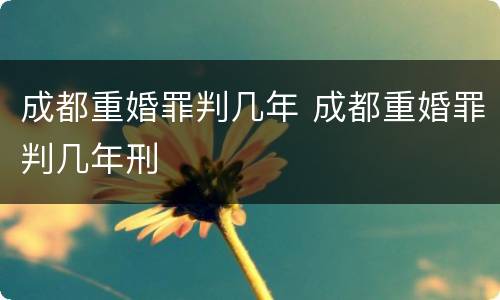 成都重婚罪判几年 成都重婚罪判几年刑