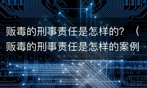 贩毒的刑事责任是怎样的？（贩毒的刑事责任是怎样的案例）