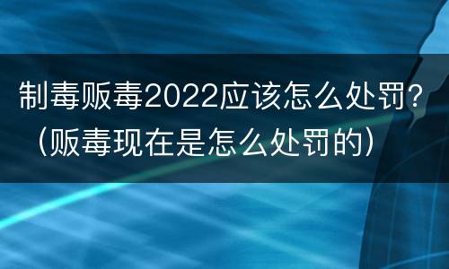 制毒贩毒2022应该怎么处罚？（贩毒现在是怎么处罚的）