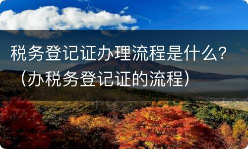 税务登记证办理流程是什么？（办税务登记证的流程）