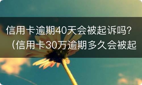 信用卡逾期40天会被起诉吗？（信用卡30万逾期多久会被起诉）