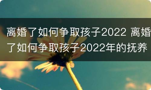 离婚了如何争取孩子2022 离婚了如何争取孩子2022年的抚养
