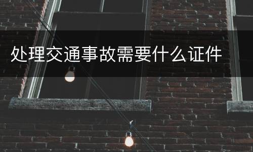 处理交通事故需要什么证件