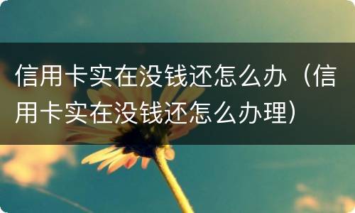 信用卡实在没钱还怎么办（信用卡实在没钱还怎么办理）