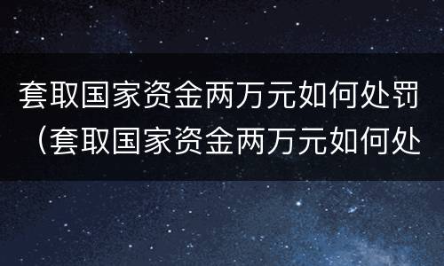 套取国家资金两万元如何处罚（套取国家资金两万元如何处罚他）