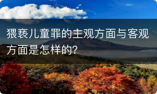 猥亵儿童罪的主观方面与客观方面是怎样的？