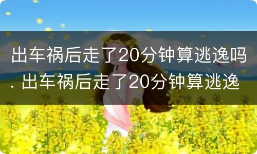 出车祸后走了20分钟算逃逸吗. 出车祸后走了20分钟算逃逸吗怎么处理