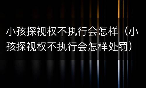 小孩探视权不执行会怎样（小孩探视权不执行会怎样处罚）