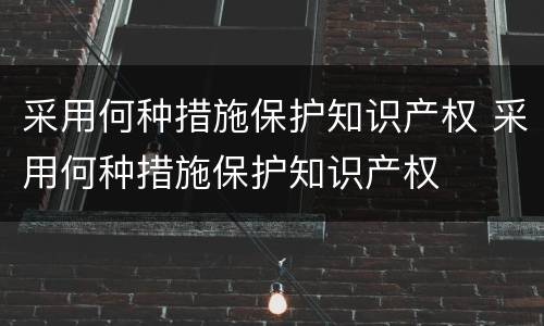 采用何种措施保护知识产权 采用何种措施保护知识产权