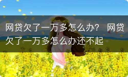网贷欠了一万多怎么办？ 网贷欠了一万多怎么办还不起