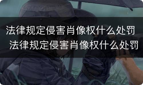 法律规定侵害肖像权什么处罚 法律规定侵害肖像权什么处罚最新
