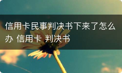 信用卡民事判决书下来了怎么办 信用卡 判决书