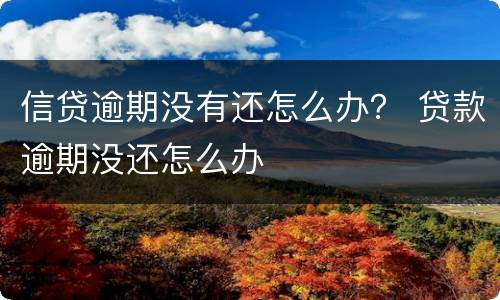 信贷逾期没有还怎么办？ 贷款逾期没还怎么办