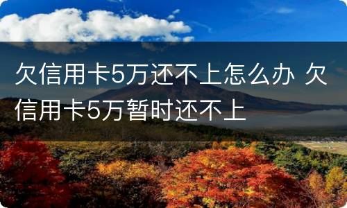 欠信用卡5万还不上怎么办 欠信用卡5万暂时还不上