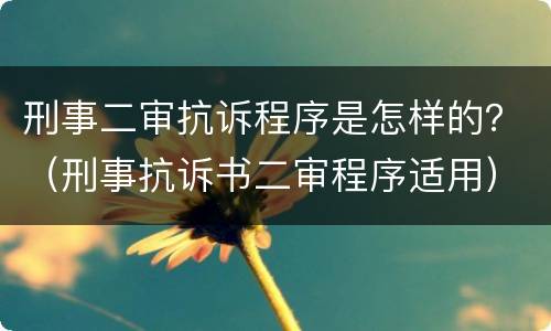 刑事二审抗诉程序是怎样的？（刑事抗诉书二审程序适用）