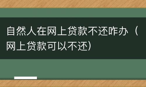 自然人在网上贷款不还咋办（网上贷款可以不还）