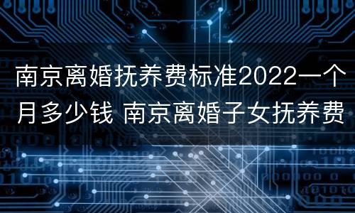 南京离婚抚养费标准2022一个月多少钱 南京离婚子女抚养费标准
