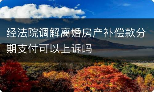经法院调解离婚房产补偿款分期支付可以上诉吗