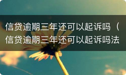 信贷逾期三年还可以起诉吗（信贷逾期三年还可以起诉吗法院）