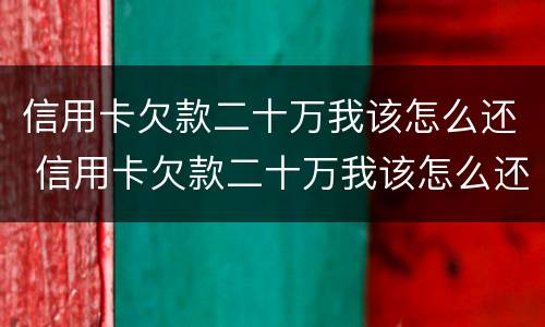 信用卡欠款二十万我该怎么还 信用卡欠款二十万我该怎么还款