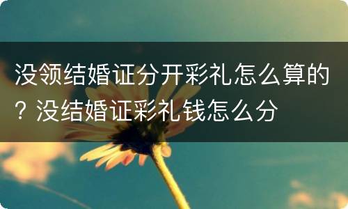 没领结婚证分开彩礼怎么算的? 没结婚证彩礼钱怎么分